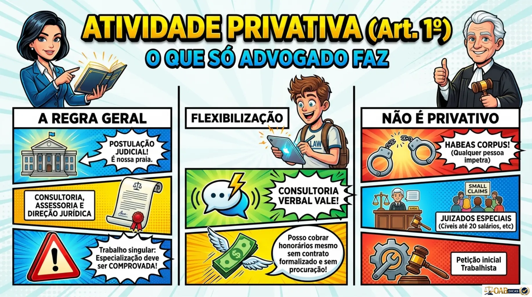 Mapa visual sobre atividade privativa da advocacia